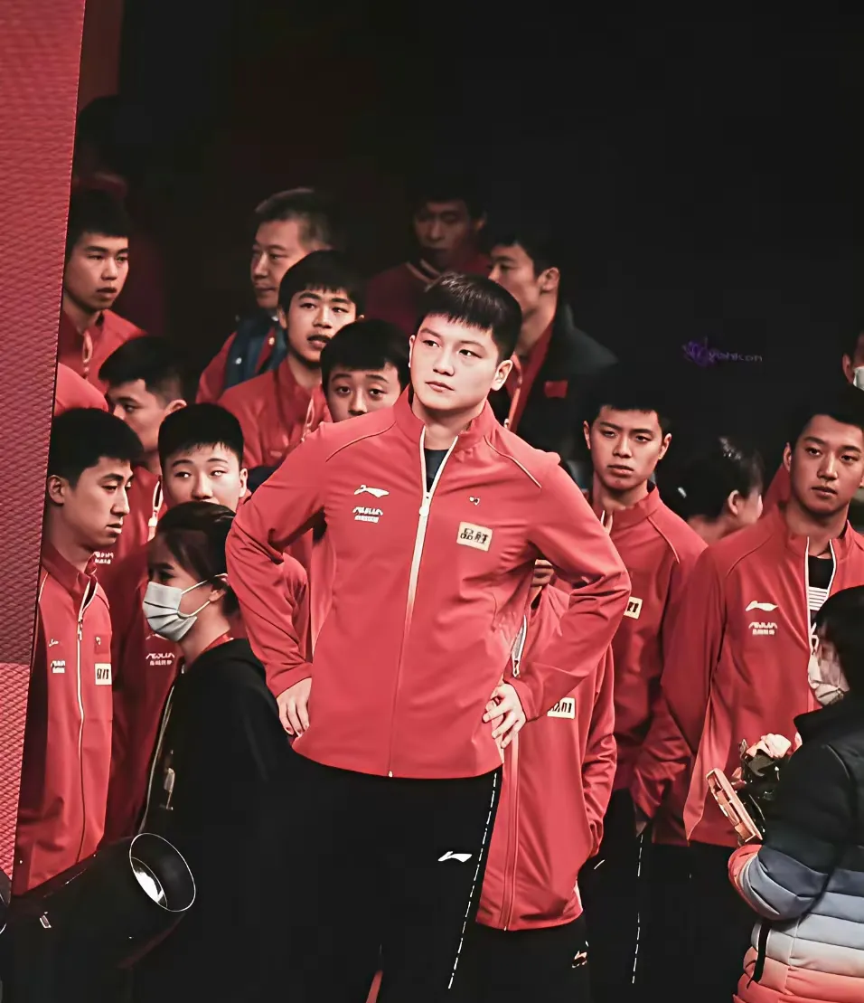 开云体育APP下载-波兰队绝杀韩国队,樊振东统治全场