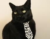 开云-时间差，小贾伦的爆发与骑士的争冠窗口