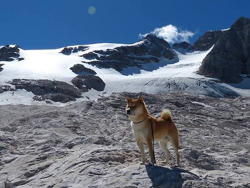 绿茵场上的新神迹,加纳青年军轻取蓝月豪门,拉亚三扑点球封神之战