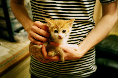 蝴蝶与飓风,久保建英的刀锋与玻利维亚的高原风暴如何重绘足球美学地图