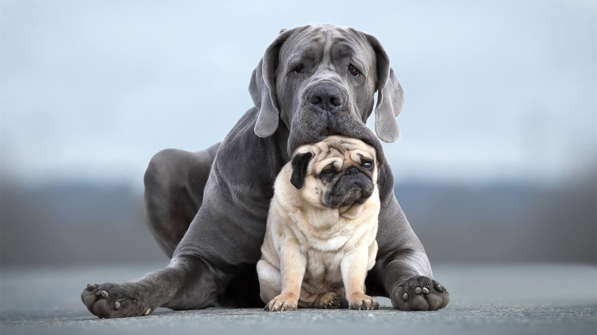 开云体育官网-亚平宁新王加冕之战，努涅斯独舞撕碎加纳防线，世界排名争夺战悬念再起