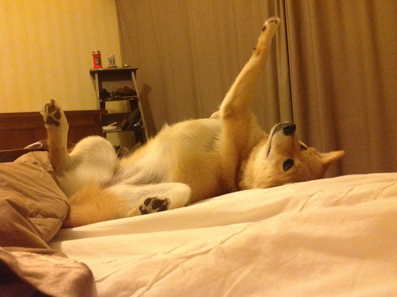 开云体育app-决斗交响曲，卡塞米罗的爆发与切尔西的节奏掌控术