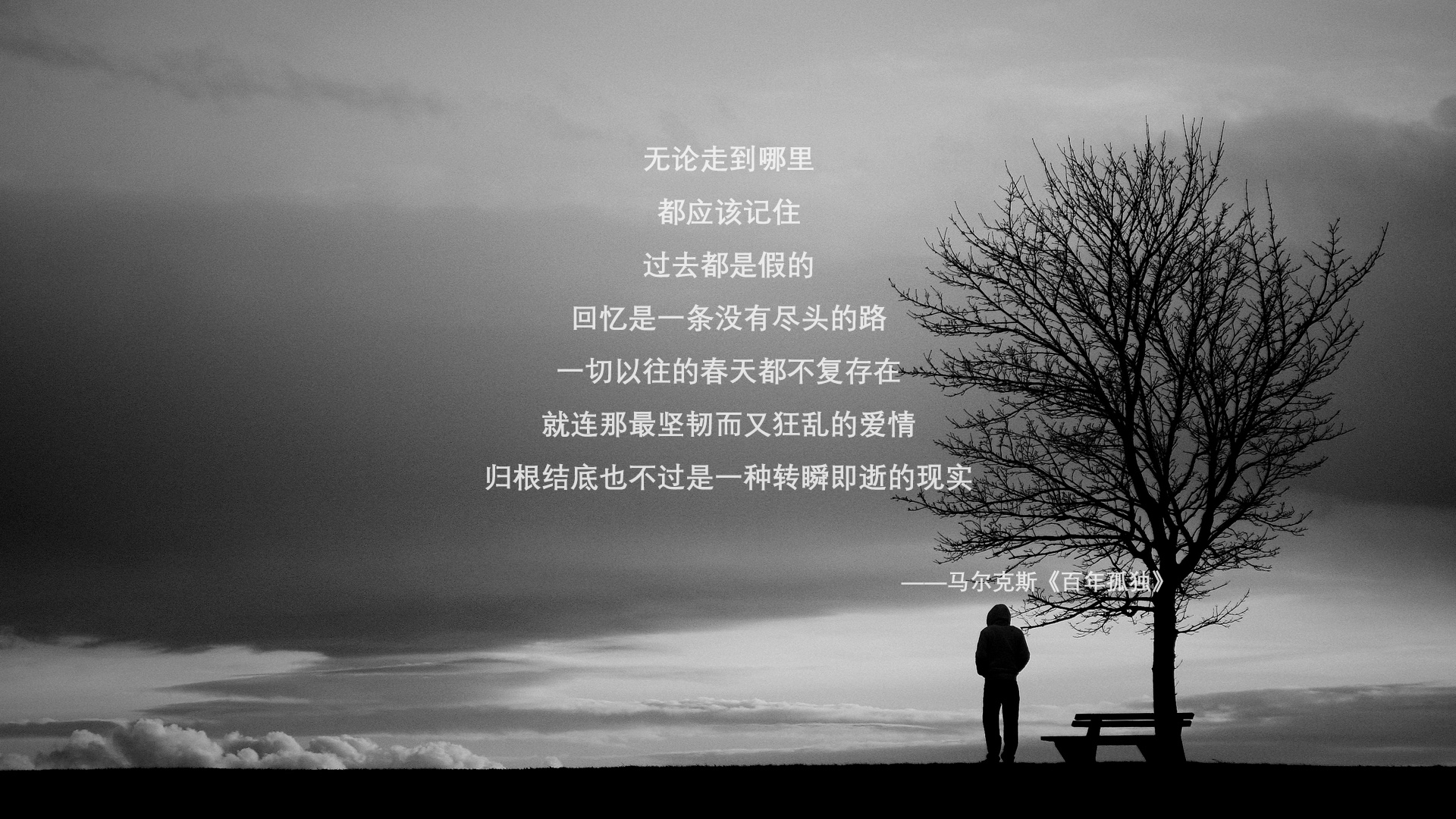 开云体育平台APP-秩序与火焰,南非终结伊朗的理性革命,卡马文加点燃赛场的暴烈美学