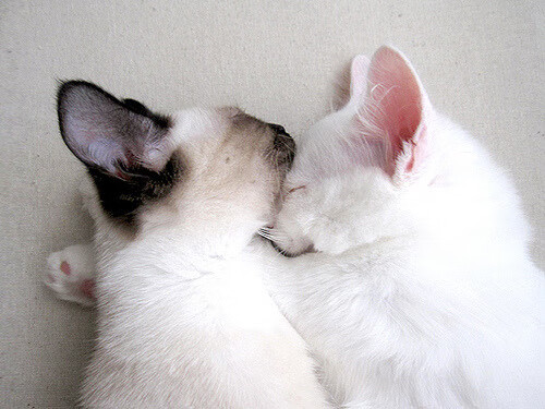 无解，内马尔的魔法与芬兰的雪崩时刻