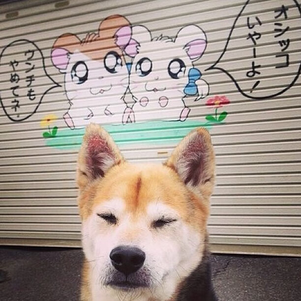 开云体育在线-绿茵鏖战终局神兵，黄喜灿一锤定音破智利