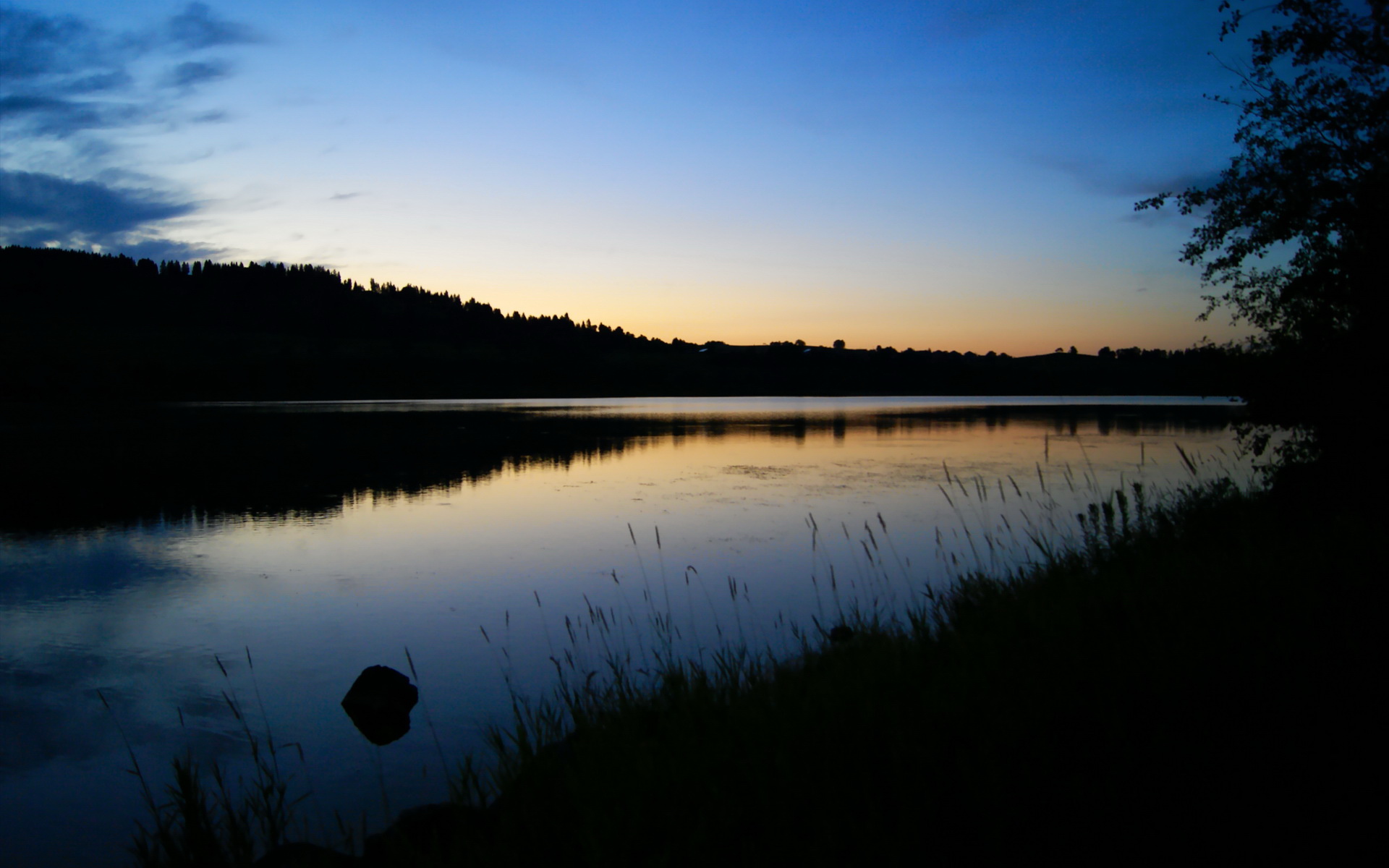 印城噩梦！米切尔致命舞步，篮网绝境重生登顶东部王座