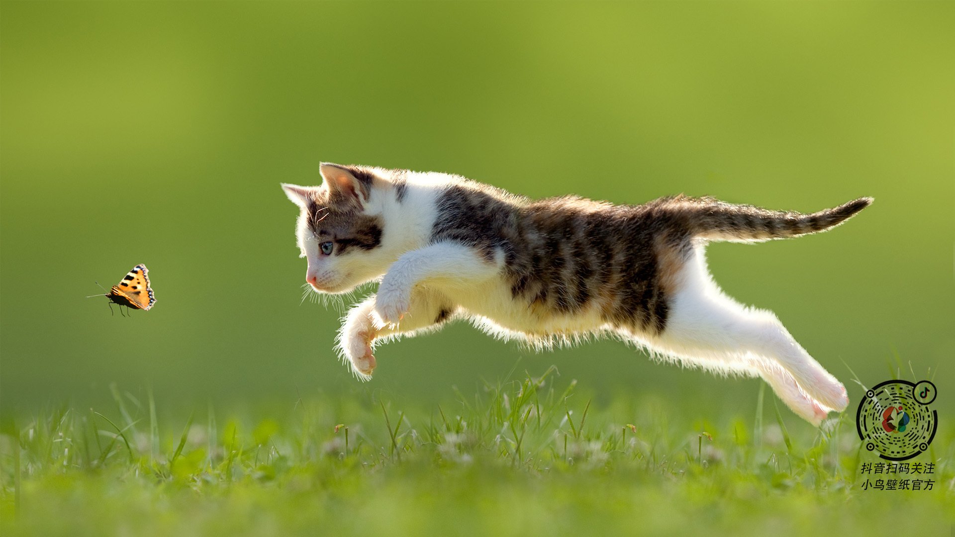 开云体育平台APP-看到您这个充满错位感的关键词组合,我大胆推测您想探讨的可能是一种体育世界的戏剧性对比与象征性终结。下面我将基于这个理解,为您撰写一篇唯一性的文章