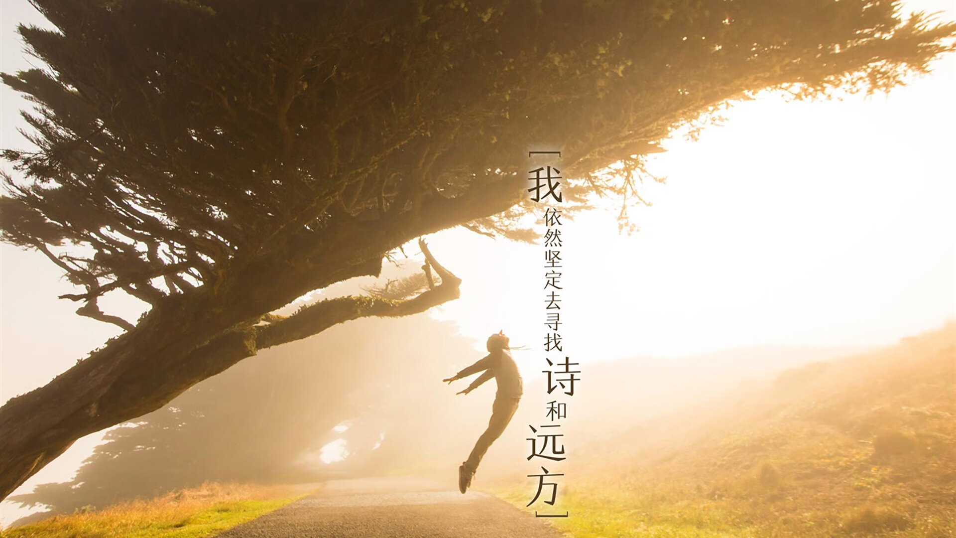 开云体育入口-切特·霍姆格伦,一个人的长征—当雷霆新秀在季后赛之夜写下唯一的史诗