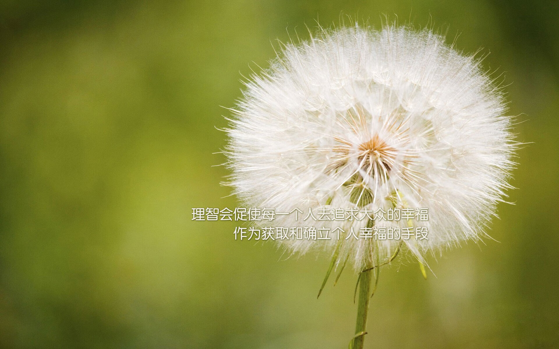 逆火重生，当哥伦比亚的铁血防线碾碎罗马尼亚的童话，维尼修斯用一己之力改写2026世界杯C组宿命
